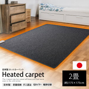 【あす楽対応】国産【ホットカーペット 2畳用本体 BR-20002 日本製 (約)175×175cm】電気カーペット 冬物 家電 折りたたみ コンパクト 切タイマー オフタイマー マット ホットマット 簡単操作 温度調節 キッチン リビング 折り畳み 収納 足元 冷え対策 受験 暖房