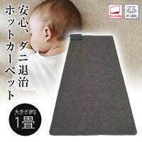 送料無料(一部地域を除く)TEKNOS ホットカーペット 1畳用本体 TWA-1000B 電気カーペット 冬物 家電 折りたたみ コンパクト マット ホットマット 簡単操作 1人用 温度調節 キッチン リビング タイマー 折り畳み 収納 足元 冷え対策