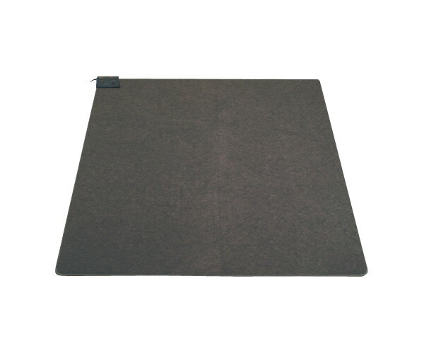 送料無料(一部地域を除く)TEKNOS 　TWA-2000B　ホットカーペット　2畳用本体　（すべり止め加工）