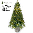 Branch Trees? 2023NNEW ō NX}Xc[ X@@LEDCg 950t  210cm ~̐jtɌ 2ނ̐Iȗtō\ TPX23-046-LED-210cm X