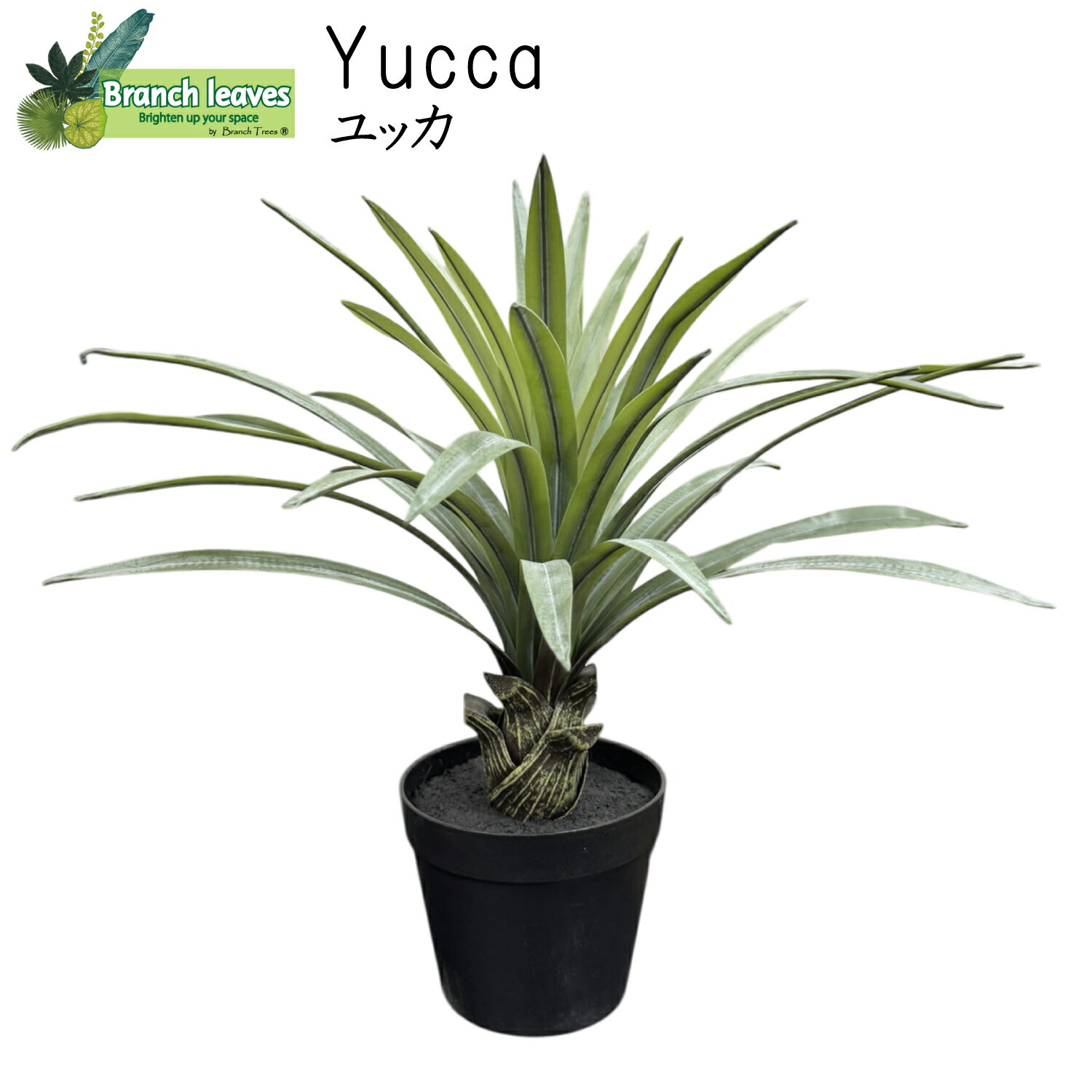 Branch leaves フェイクグリーン Yucca ユッカ 高さ43cm 横幅50cm CH15041758　本物のようなリアルな質感 コンパクトでインテリアにも馴染みやすい 人工観葉植物