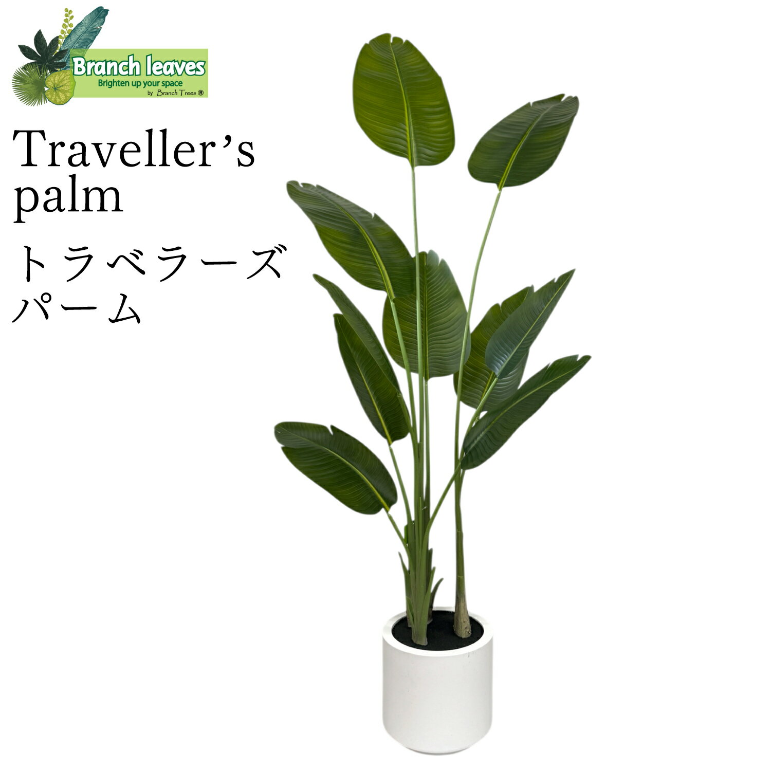 Rakuten - Branch leaves フェイクグリーン トラベラーズパーム 高さ180cm LRJ-040-18004＃C 本物のようなリアルな質感 美しい扇状の葉 インテリア 存在感のある 大型 人工 観葉植物 Traveller’s Palm