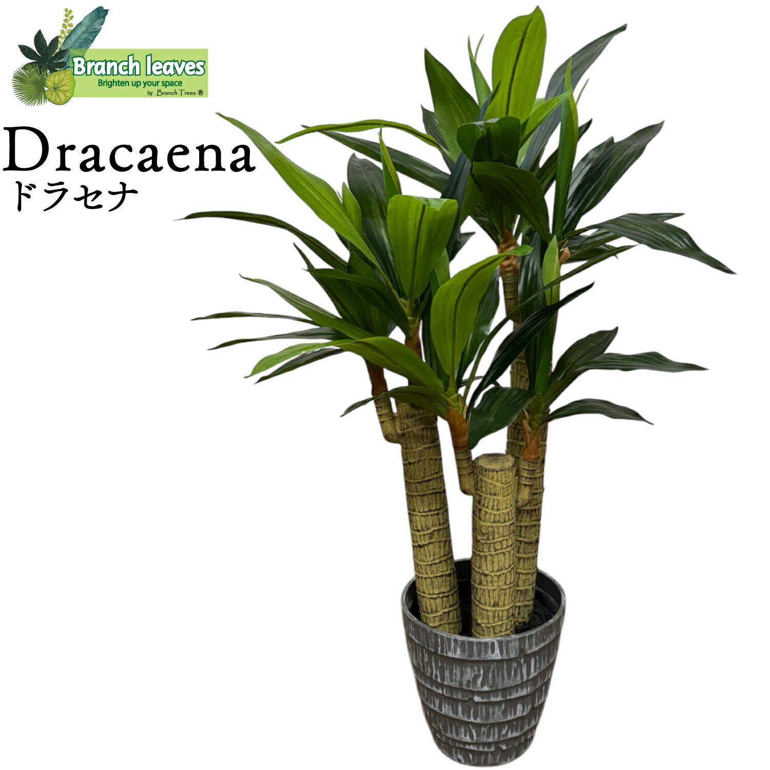 Branch leaves フェイクグリーン ドラセナ Dracaena 高さ85cm 横幅50cm CH10841695　本物のようなリアルな質感 インテリア にも馴染みやすい 人工観葉植物