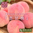 桃 もも 和歌山 美味しい桃 お取り寄せ 秀品桃 一口で恋に落ちるほど甘い 恋甘桃 高糖度 産地直送 お取り寄せ フルーツ 1Kg 2Kg 4Kg 白鳳 日川白鳳 清水白桃 ギフト 夏ギフト お中元 御中元 旬の味覚 桃パフェや桃の炭酸ジュレにも最適