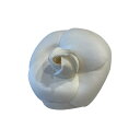 【中古】 CHANEL シャネル カメリア コサージュ ブローチ レディース ブランド アクセサリー ホワイト系 入学式 卒業式 同窓会 謝恩会 ABランク