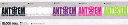 ANTHEM・アンセム【STICKER/ステッカー】アイテム:BLOCK SMALLサイズ