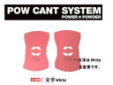 ■『POW CANT SYSTEM/パウカント　システム』【CANT PLATE/カントプレートとビスのセット】カラー：RED/文字White＆各メーカー対応ビスセット その1