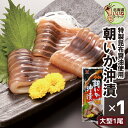 いか 沖漬け 朝いか沖漬(赤) 1尾 送料無料 おかず 海鮮 珍味 お試し ビールに合う お酒のおつまみ お酒のあて 活きたまま凍結された真いかを 特製昆布醤油...