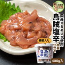 いか塩辛 おかず 箱館造り烏賊塩辛 大樽 400g 塩辛 ギ...