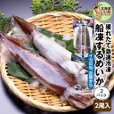 イカ いか するめいか 北海道 函館 船凍スルメイカ 2尾入×2P 送料無料 船上凍結 北海道近海 瞬間冷凍 鮮度抜群 新鮮 イカ刺身 いか刺し 焼きいか スル...