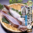 イカ いか するめいか 北海道 函館 船凍スルメイカ 2尾入×4P 送料無料 船上凍結 北海道近海 瞬間冷凍 鮮度抜群 新鮮 イカ刺身 いか刺し 焼きいか スル...