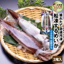 イカ いか するめいか 北海道 函館 船凍スルメイカ 2尾入 送料無料 船上凍結 北海道近海 瞬間冷凍 鮮度抜群 新鮮 イカ刺身 いか刺し 焼きいか スルメイカ...