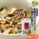 乾燥きのこ 4種の乾燥きのこミックス 40g 送料無料 干しきのこ 北海道産 1000円ポッキリ 国産 キノコ 北海道 北海道 お取り寄せ ギフト 北海道産 乾...