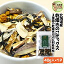 乾燥きのこ 干しきのこ 北海道産 乾燥きのこミックス(きざみ昆布入り) 40g 1000円ポッキリ 送料無料 国産 キノコ 北海道 お取り寄せ ギフト 北海道産 乾物 だし 出汁 きのこ まいたけ 舞茸 しいたけ シイタケ 椎茸 なめこ