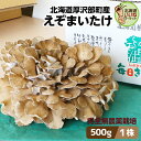 まいたけ きのこ 舞茸 えぞまいたけ 500g 1株 送料無料 北海道産 肉厚 完全無農薬 産地直送 朝採れ 北海道 お取り寄せ ギフト 国産 野菜 セット 贈...