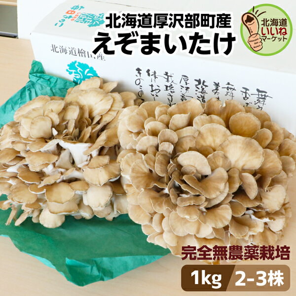 【楽天スーパーSALE 限定！400円OFF】 まいたけ きのこ 舞茸 北海道産 えぞまいたけ 1kg 2～3株 大容量 肉厚 完全無農薬 産地直送 朝採れ 北海道 お取り寄せ ギフト 国産 野菜 セット 贈り物 新鮮 マイタケ 贈答品 ごちそう 農家 直送 北海道グルメ しぶたの毎日きのこ 1