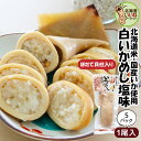 いかめし マルモの白いかめし 塩味 ほたて貝柱入り 1尾入り×5P 送料無料 北海道 森町 特産 函館名物 イカ飯 イカめし いか飯 函館 森町名産 ギフト お...
