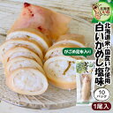いかめし マルモの白いかめし 塩味 がごめ昆布入り 1尾入り×10P 送料無料 北海道 森町 特産 函館名物 イカ飯 イカめし いか飯 函館 森町名産 ギフト ...