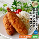 大きなコロッケ 具材まるごと エビコロッケ 10個 1.2kg(120g×10) 送料無料 エビ たっぷりのジャガイモを使用 長期間 低温で熟成された甘み豊かな男爵いも 具材たっぷり 箱館ふるさと 男爵コロッケ工房 箱館ふるさと 男爵コロッケ工房 太田食品【nys_rt6】