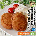 大きなコロッケ 具材まるごと カニコロッケ 5個 600g(120g×5) 送料無料 カニ たっぷりのジャガイモを使用 長期間 低温で熟成された甘み豊かな男爵いも 具材たっぷり 箱館ふるさと 男爵コロッケ工房 箱館ふるさと 男爵コロッケ工房 太田食品【nys_rt6】