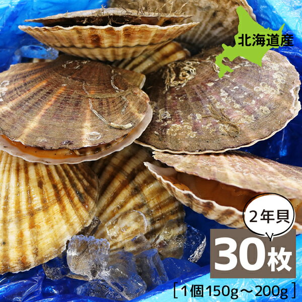 活ホタテ 30個 約4.5kg 殻付き (2年貝) (150g〜200g×30個) ホタテ 殻付き 生 帆立 刺身 生食用 バーベキュー ホタテ BBQ 帆立 漁師直送 北海道 甘く 大きい ナイフ 剥き方説明付 カネショウ佐藤漁業 直送 送料無料