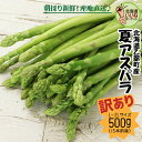 アスパラガス グリーンアスパラ 夏アスパラ 訳あり L・2L混 500g 平均15本 送料無料 北海道産 朝採れ グリーンアスパラガス ワケあり 太い わけあり アスパラ 甘い 産地直送 ギフト 産直 鈴木農園 農家 直送 採れたて あすぱら 2l 新鮮 北海道お取り寄せ 【ym_rza8】