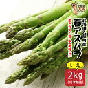 アスパラガス 北海道産 アスパラ L・2L・3L混 2kg 平均40本 朝採れ 新鮮 産地直送 グリーンアスパラ ギフト あすぱら BBQ 野菜 バーベキュー 北海道グルメ ごちそう お取り寄せグルメ