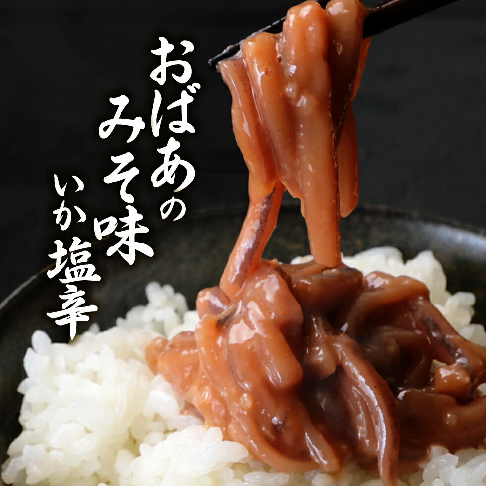 いか塩辛 おばあの みそ味いか塩辛 5個でお得な750g 150g×5P 送料無料 おかず おつまみ 珍味 お酒のおつまみ お酒のあて 【ym_rza6】