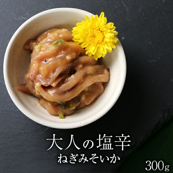 いか塩辛 大人の塩辛 ねぎみそいか 300g 100g×3P 送料無料 おかず おつまみ 珍味 お酒のおつまみ お酒のあて 【ym_rza6】