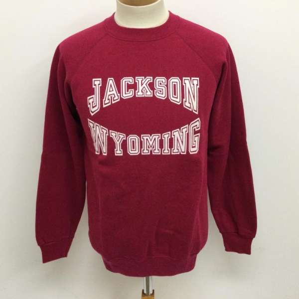 ヘインズ 90年代 USA製 Hanes サークル プリント スウェット ヴィンテージ トレーナー メンズ M ISItems【USED】【古着】【中古】50109679(4)