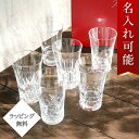 【ポイント5倍】 【名入れ刻印無料】 バカラ グラス 6客セット エブリデイ グランデ ハイボール タンブラー クリスタルガラス コップ グラスセット BACC...