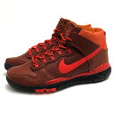 iCL/NIKE/576611-207 SB DUNK HIGH OMS PRM _N nC nCJbgXj[J[ yÁz