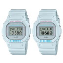 国内正規品 CASIO G-SHOCK Gショック ジーショック カシオ 時計 メンズ レディース ペアウォッチ 腕時計 ペールトーン ユースカルチャーモデル SPECIAL COLOR DW-5600SC-8JFDW-5600SC-8JF 記念日 内祝い 母の日 お祝い