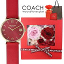 COACH v[g  ԂƎṽMtgZbg R[` rv Y fB[X vU[uht[ җj  ՔN 13 25 37 49 61 73 85 bsO ܕt av[g LO  w j