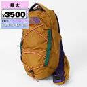 ノースフェイス THE NORTH FACE ボディバッグ メンズ レディース BOREALIS SLING ボレアリス スリング オレンジ NF0A52UP ...