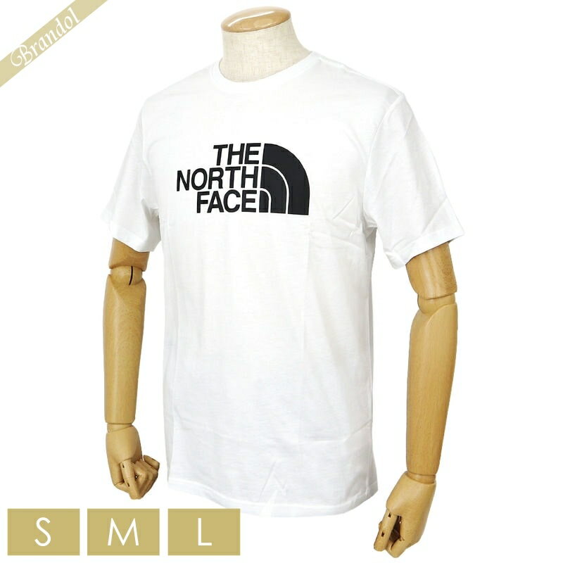 ノースフェイス THE NORTH FACE メンズ Tシャツ ショートスリーブ GTDロゴ ［Sサイズ/Mサイズ/Lサイズ］ ホワイト NF0A2TX3 FN4 / T92TX3 | コンビニ受取 ブランド