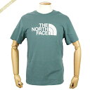 《クーポン配布中_29日17:59迄》ノースフェイス Tシャツ THE NORTH FACE メンズ ショートスリーブ GTDロゴ S/M/L グリーン系 NF0A2TX3 A9L | ブランド