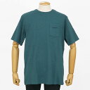 パタゴニア Tシャツ メンズ Patagonia ボードショーツ ロゴ ポケット レスポンシビリティー 半袖 S/M/L/XL サイズ ブルーグリーン 3765...