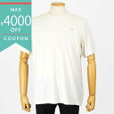 《最大4000円クーポン_6/27 1:59迄》アークテリクス Tシャツ ARC’TERYX 半袖 コーマック クルー ショートスリーブ S/M/L/XLサイズ オフホワイト X000009718 Arctic Silk Heather II メンズ | ブランド