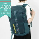 《最大4000円クーポン_6/27 1:59迄》パタゴニア リュックサック Patagonia ブラックホールパック 25L バックパック ブルーグリーン 49...