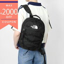 《最大2000円クーポン_6/30 23:59迄》ノースフェイス リュックサック THE NORTH FACE BOREALIS MINI ボレアリス ミニ バ...