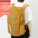 《最大2000円クーポン_6/30 23:59迄》パタゴニア リュックサック Patagonia ブラックホールパック 25L バックパック イエロー系 492...