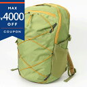 パタゴニア リュックサック Patagonia Refugio レフュジオ デイパック 30L バックパック グリーン系 47928 BUGR メンズ・レディー...