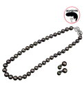 ブラックパール ネックレス 黒蝶真珠 ピーコック 10〜11mm ネックレス イヤリング セット レディース