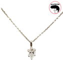 Pt ダイヤネックレス 0.52ct Dカラー VS2 プラチナ ダイヤモンド ダイヤネックレス(4)