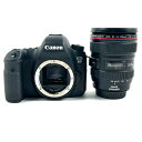 キヤノン Canon EOS 6D ＋ EF 24-105mm F4L IS USM デジタル 一眼レフカメラ 【中古】