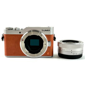 パナソニック Panasonic LUMIX DC-GF9 ボディ オレンジ デジタル ミラーレス 一眼カメラ 【中古】