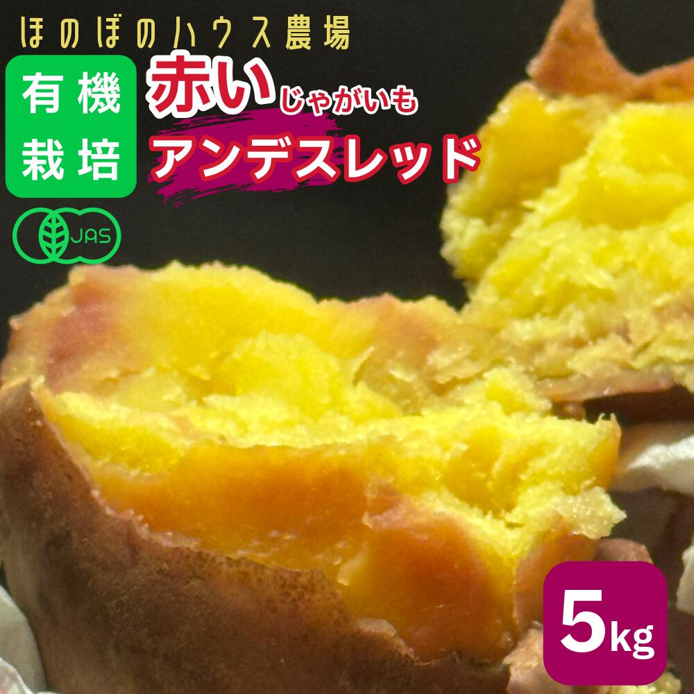 岡山美作産 有機栽培アンデスレッド 5kg（栽培期間中農薬不使用・栽培期間中化学肥料不使用）赤じゃがいも オーガニック栗じゃがいも ほのぼのハウス農場直送