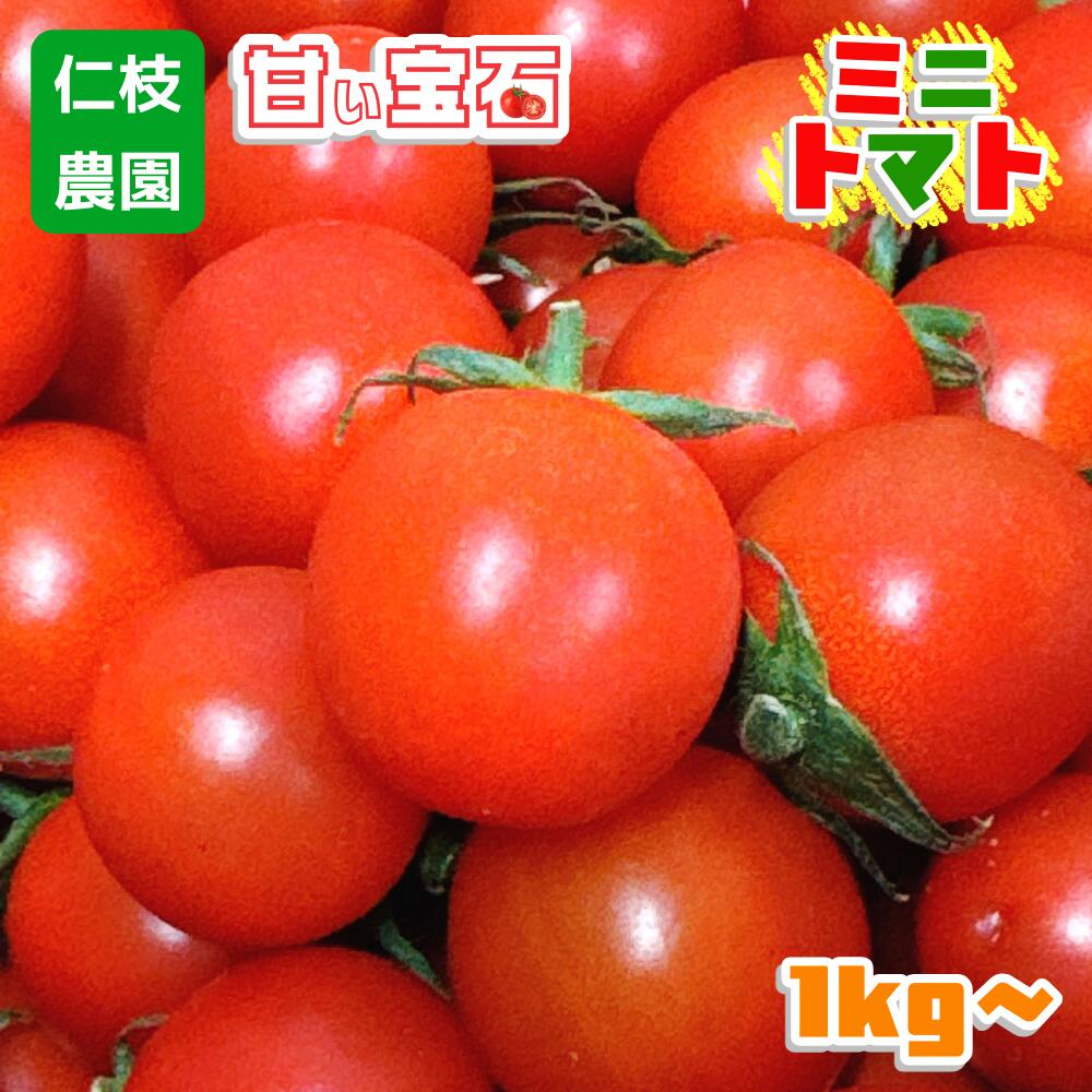 商品情報商品名ミニトマト原材料名ミニトマト産地(最終加工地)愛知県 仁枝農園内容量約1kg、約2kg、約3kg賞味期限お早めにお召し上がりください。返品・キャンセル本商品は生鮮食品および産地直送品の取り扱いのため、原則としてお客様都合での返...