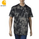 カーハート Carhartt クルーネックTシャツ 半袖 メンズ ブランド GLOBAL I030200 ブラック